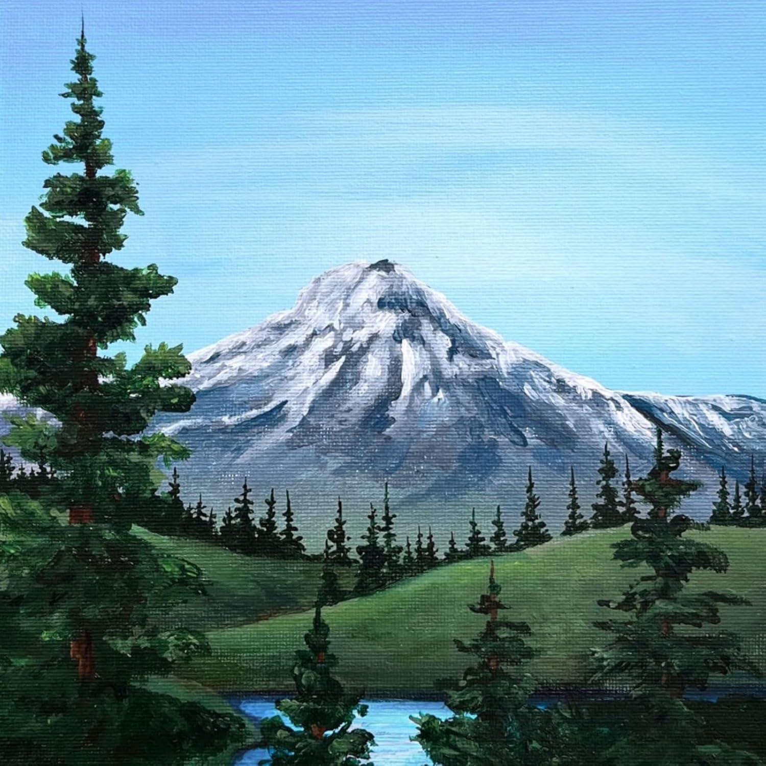 imageOhuhu Acrylic Paint Kits with Tutorial for Beginners 36ml 12 Vibrant Colors with 6 Brushes 3 Paint Canvases Sponge for Kids Painting Art Supplies for Ceramic Wood Fabric Model Rock Metal