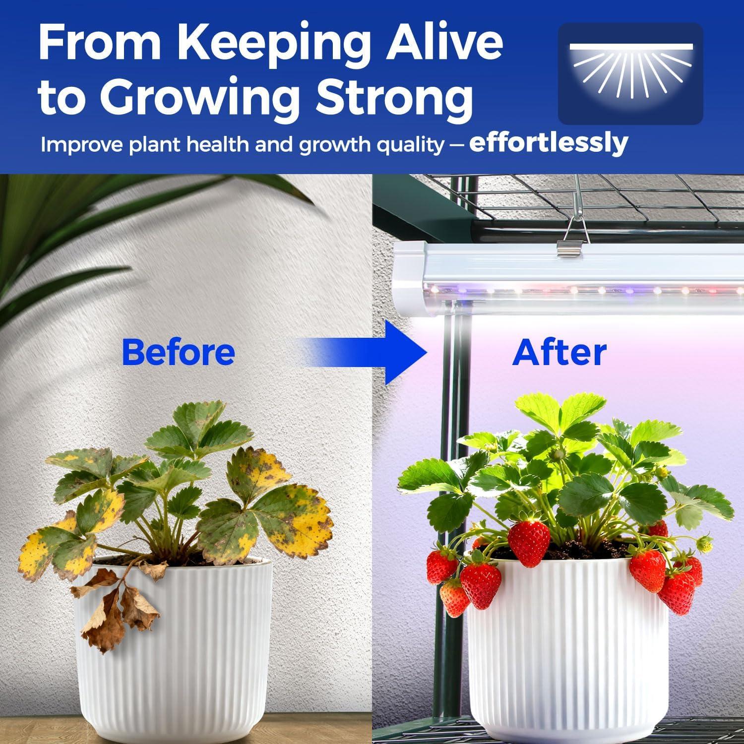 imageMini Greenhouse for Indoor Outdoor Ohuhu Small Plastic Plant Green House 5Tier Rack Stand Portable Greenhouses with Durable PE Cover for Seedling Ideal Gardening Gifts for Women MenPVC